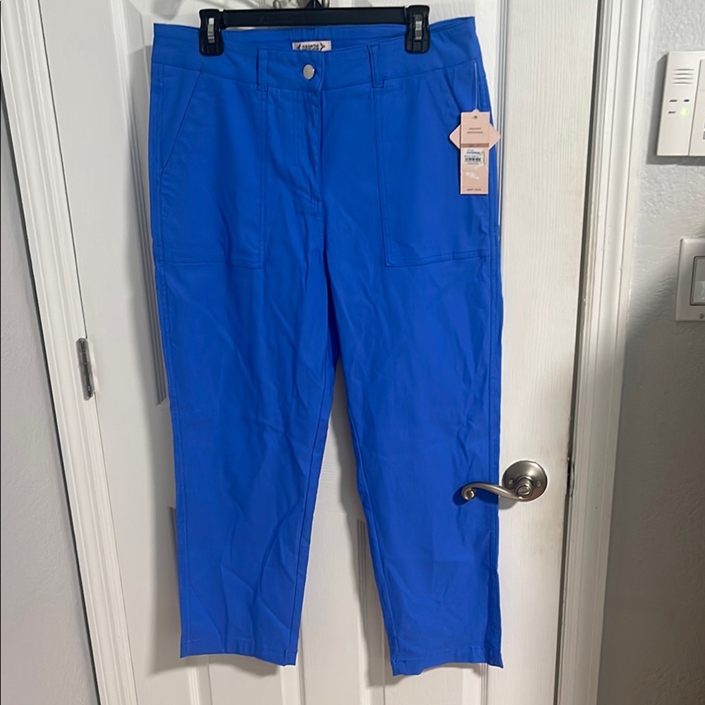 Bright Blue Pants capri